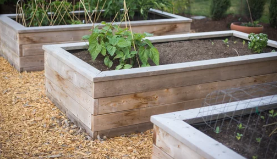 Gardening Boxes For Vegetables 