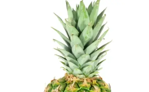 How to Grow Pineapple from Top