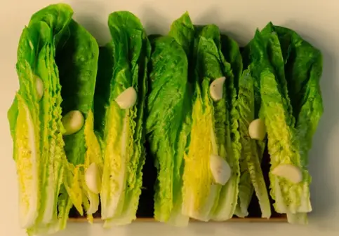 Dirtgreen.com - Everything Around The YardA Fresh Look at Romaine Lettuce: Exploring Its Delicious Varieties