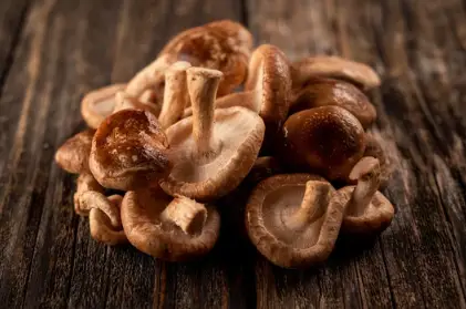 When to Fruit Mushrooms
