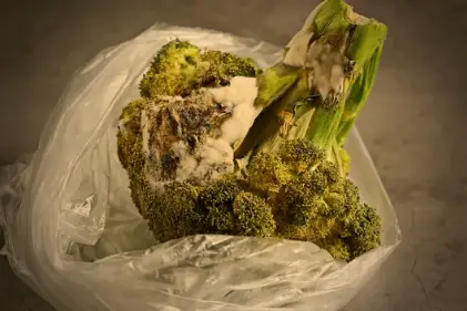 What Does Broccoli Look Like When It Goes Bad