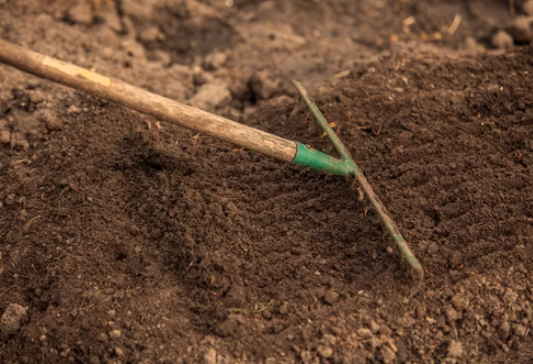 Preparing the Garden Bed