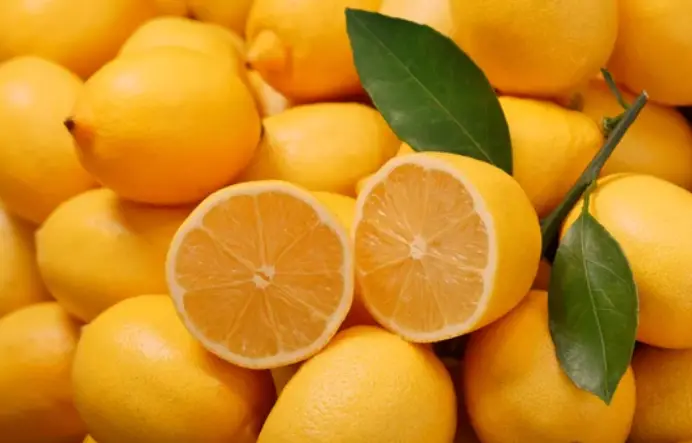 Dirtgreen.com - Everything Around The YardIs Lemon a Fruit or Vegetable: Unveiling the Citrus Enigma