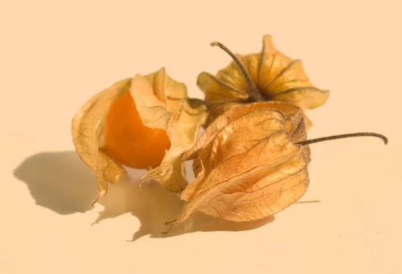 Fruits That Look Like a Tomato