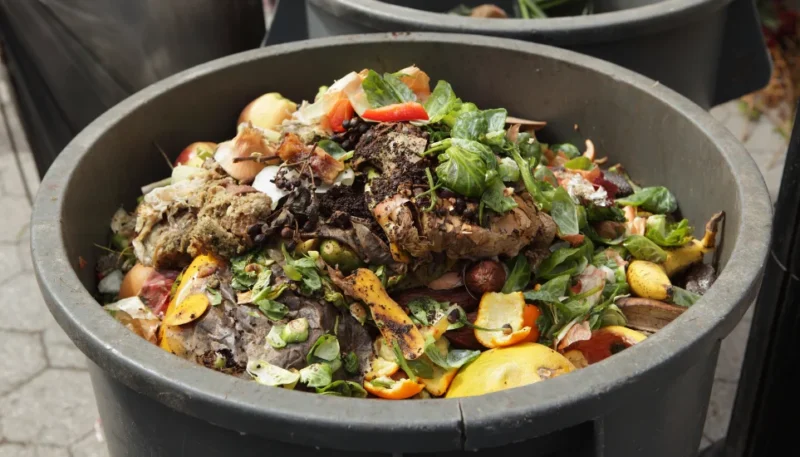 How To Start Composting In A Bin? Turning Waste into Gold