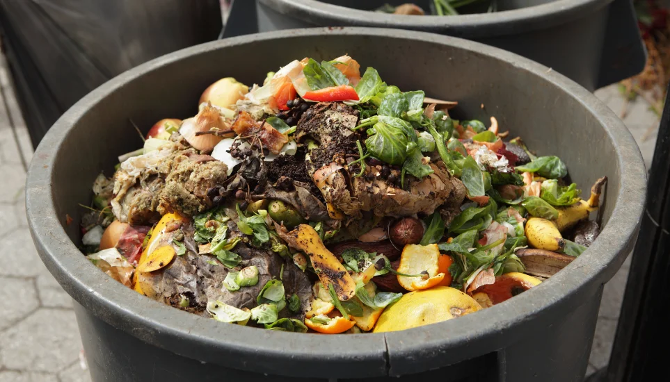 How To Start Composting In A Bin