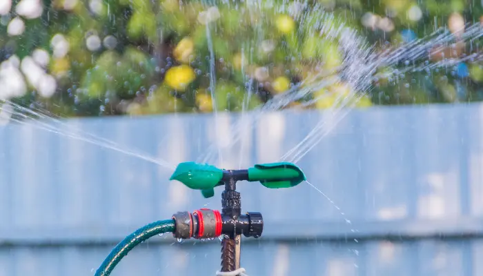 Save Time and Water With Automatic Watering Systems