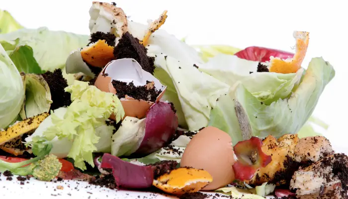 What Food Scraps Can Be Composted