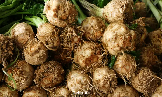 Celeriac