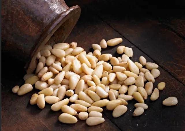 Pine Nuts: A Nutty Tale from Pine Trees