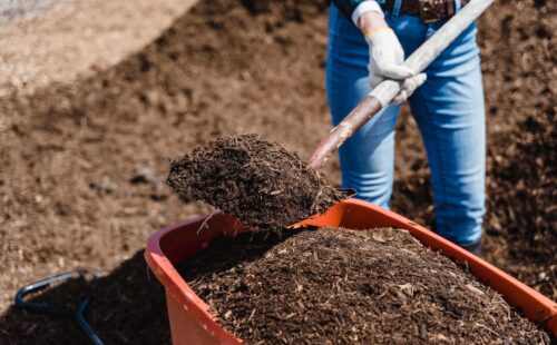 How Long Does Compost Take to Break Down