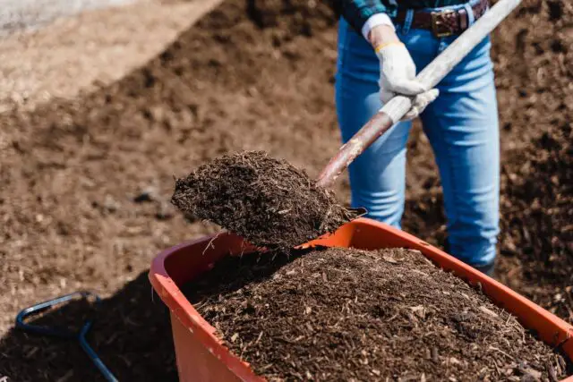 How Long Does Compost Take to Break Down
