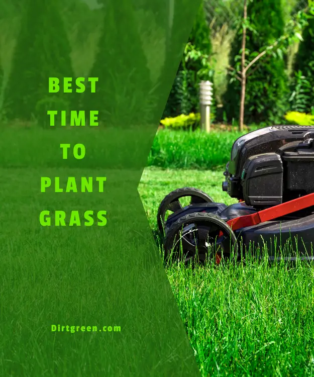 best time to plant grass