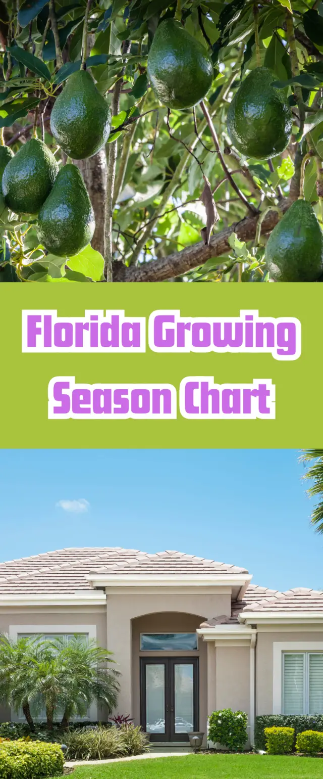 Florida Growing Season Chart