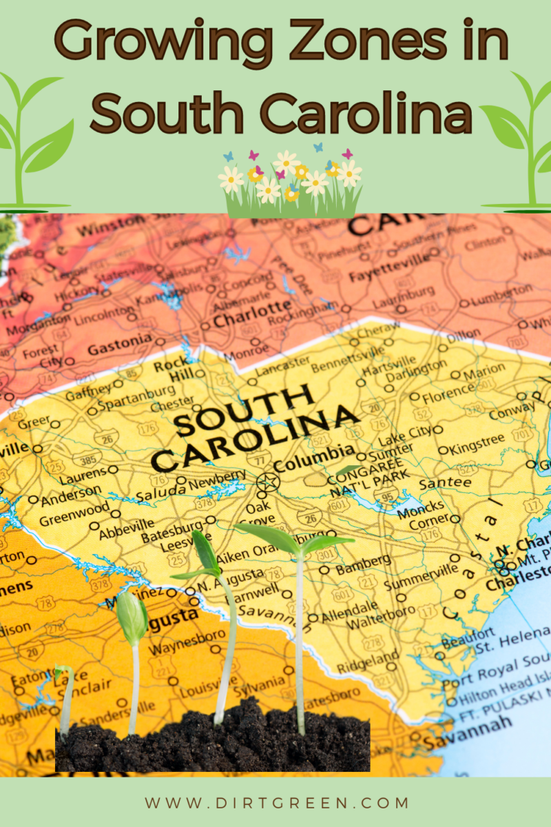 All Growing Zones in South Carolina Breakdown