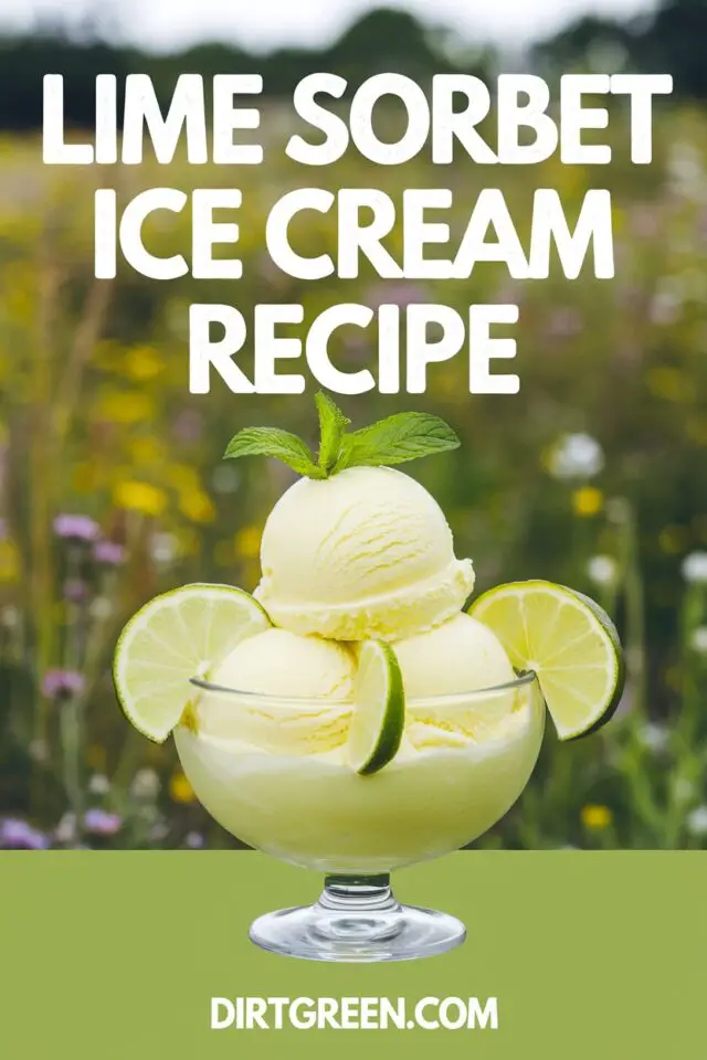 Lime Sorbet Ice Cream Recipe