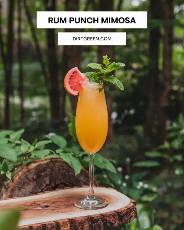 Rum Punch Mimosa