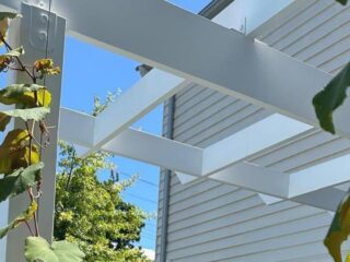 7 Climbing Plants for Arbors