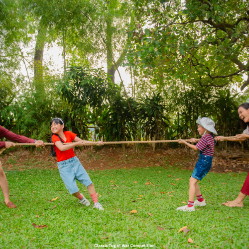 Classic Tug of War Competition