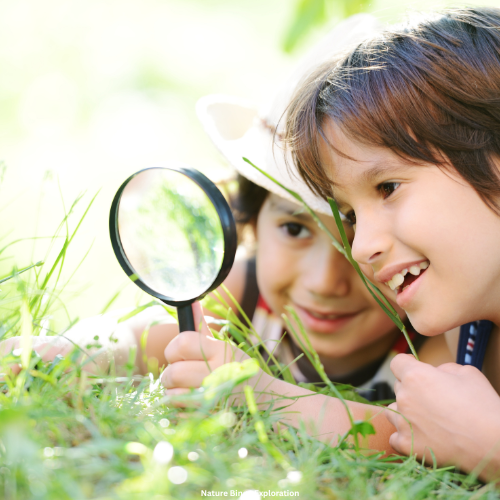 Nature Bingo Exploration