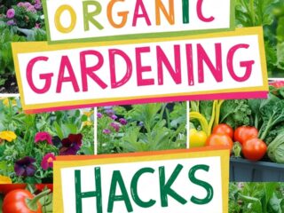 Organic Gardening Hacks