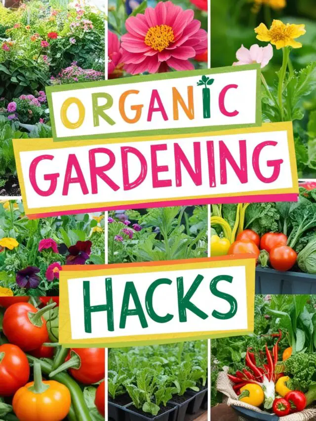 Organic Gardening Hacks