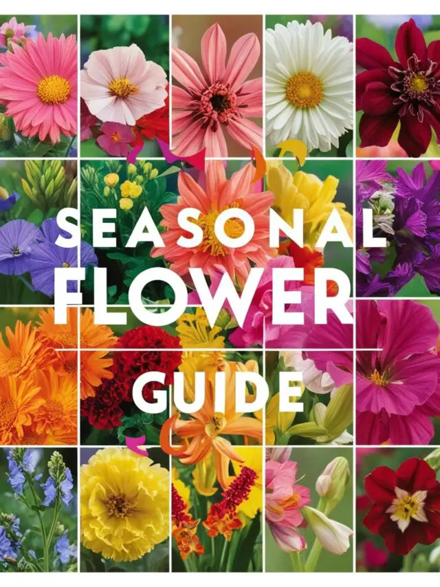 Seasonal Flower Guide