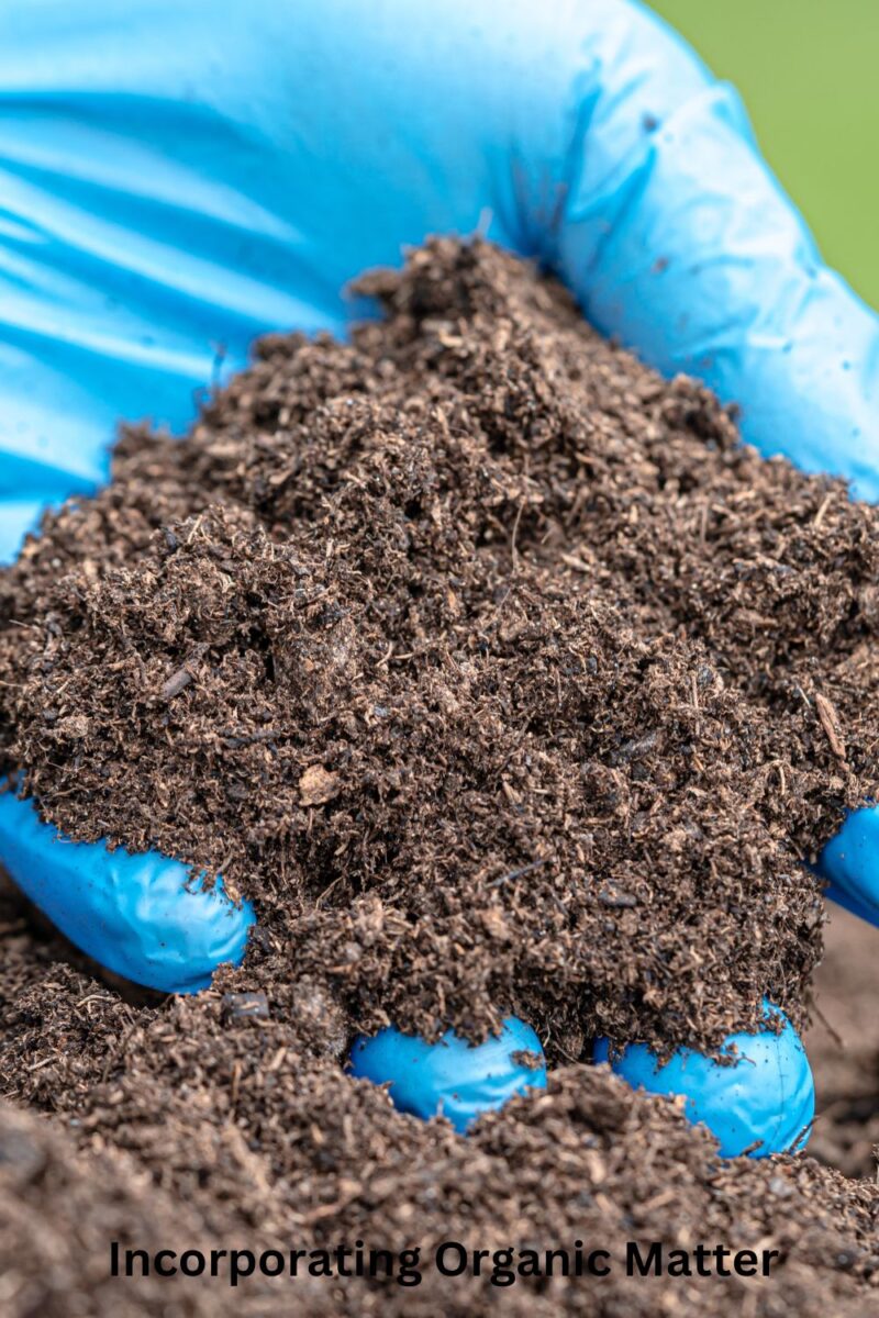 Incorporating Organic Matter