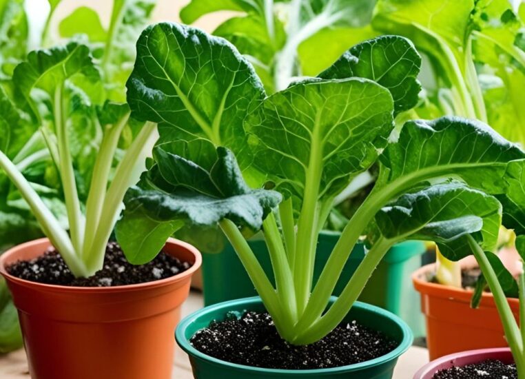 Indoor Vegetable Starts for Spring