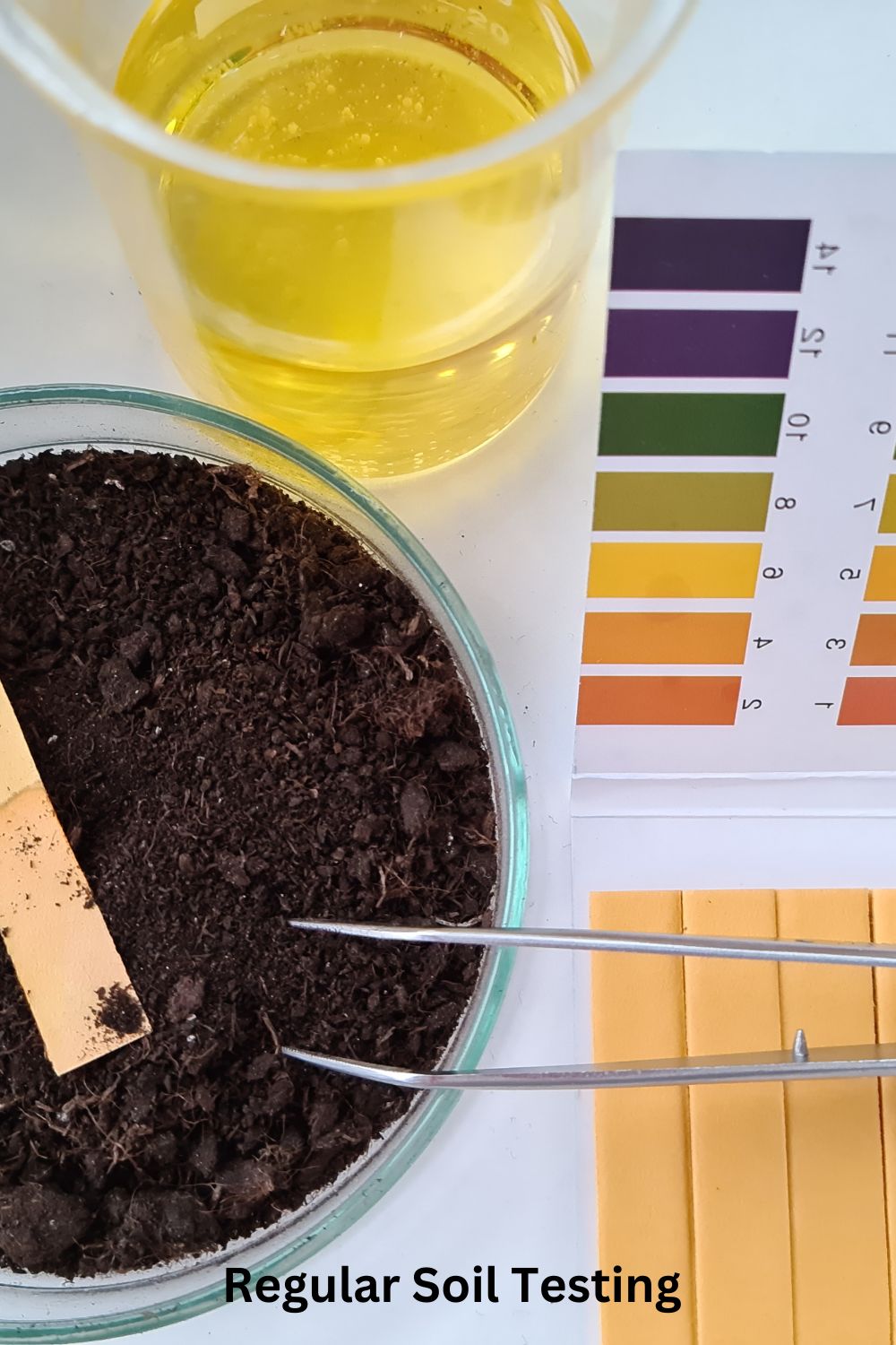 Regular Soil Testing