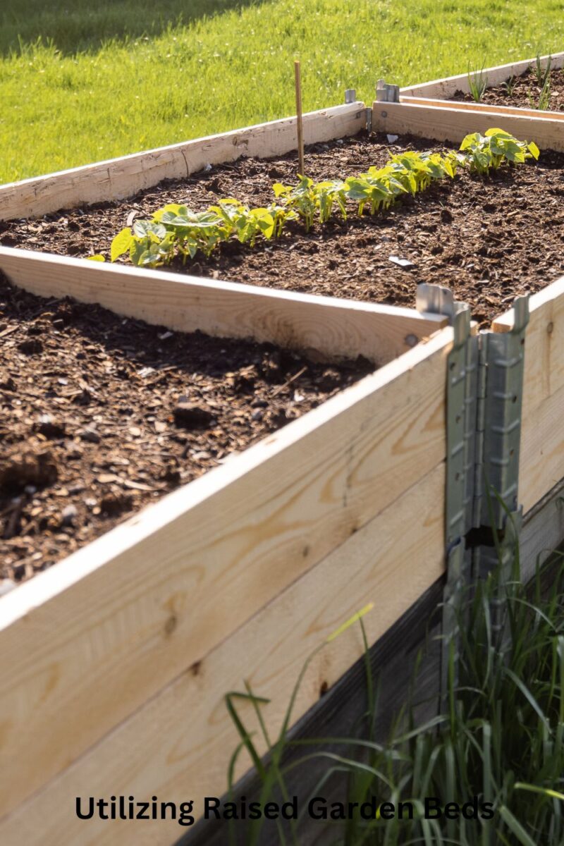 Utilizing Raised Garden Beds