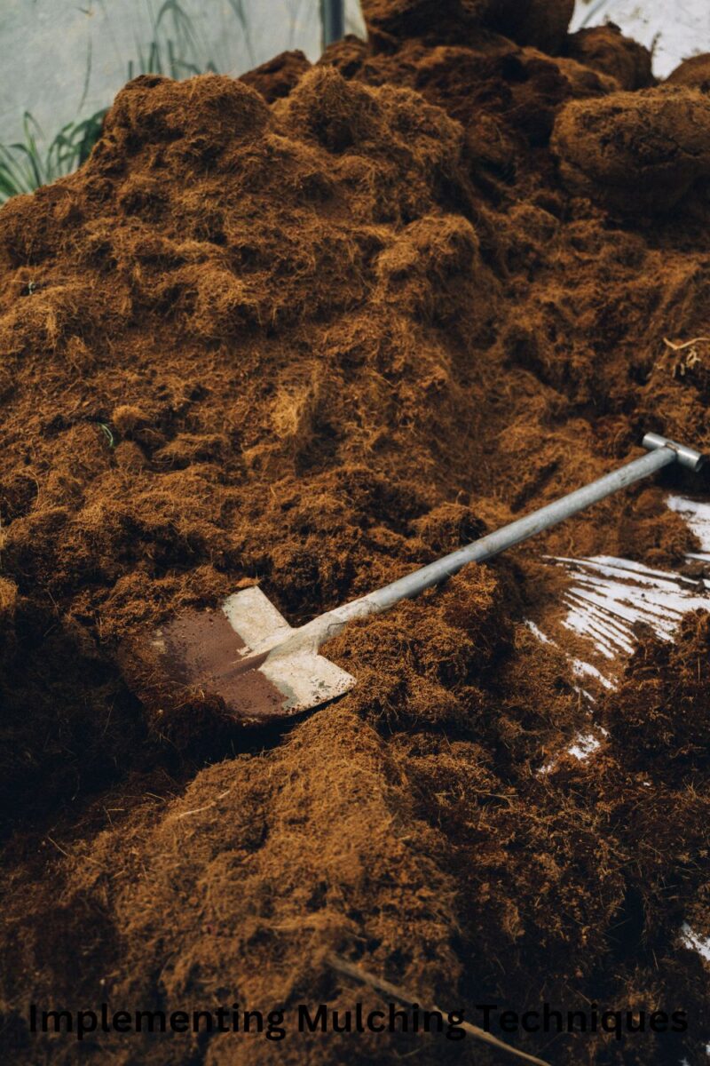 Implementing Mulching Techniques