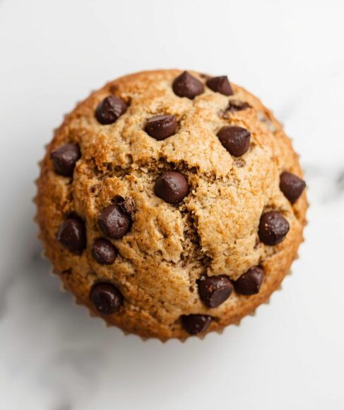 chocolate chip muffin