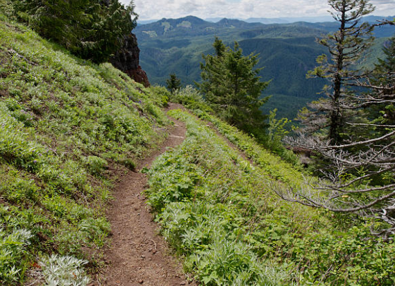 Iron Mountain Trail, Willamette National Forest, Oregon