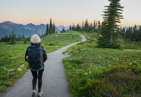 Skyline Trail, Mount Rainier National Park, Washington
