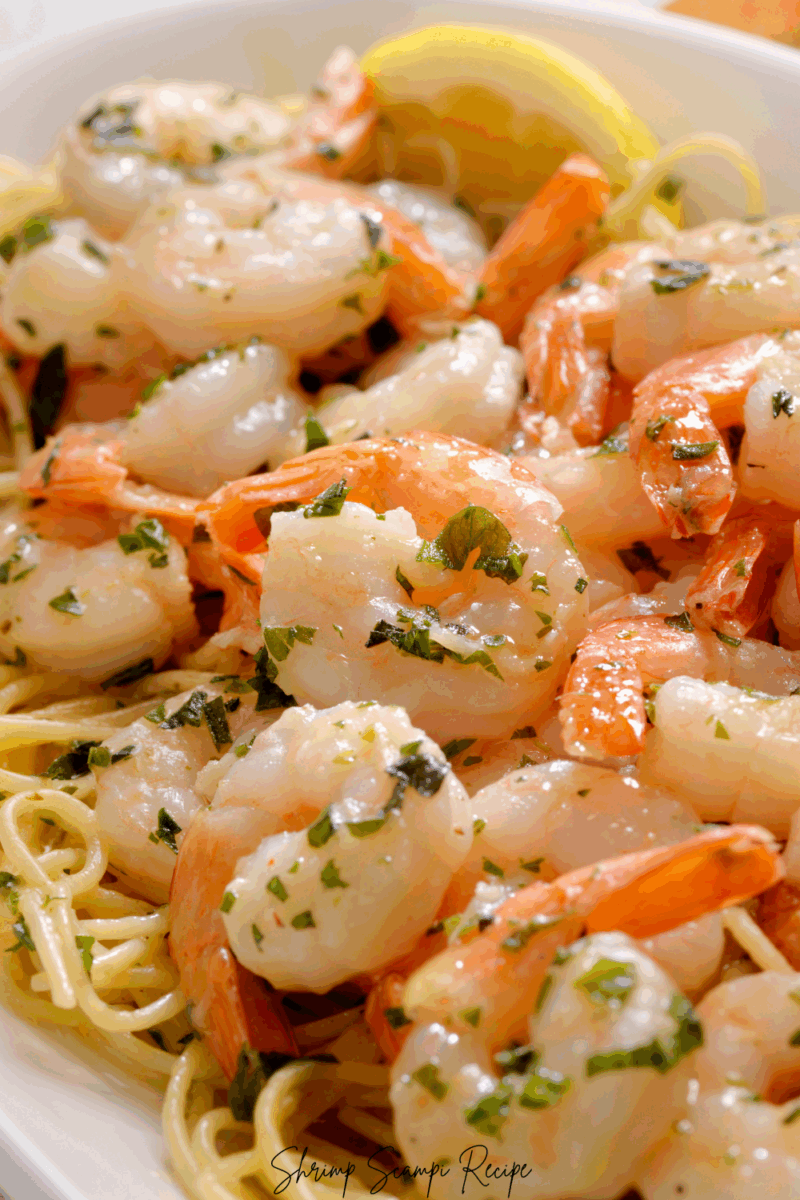 Shrimp Scampi Recipe
