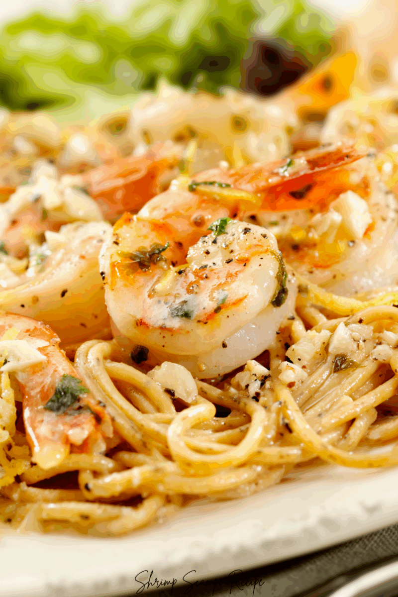 Shrimp Scampi Recipe
