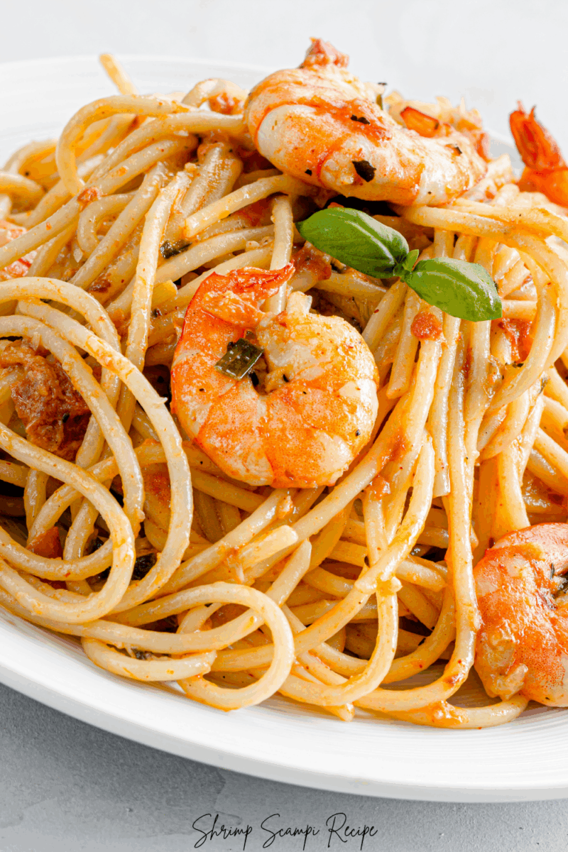 Shrimp Scampi Recipe