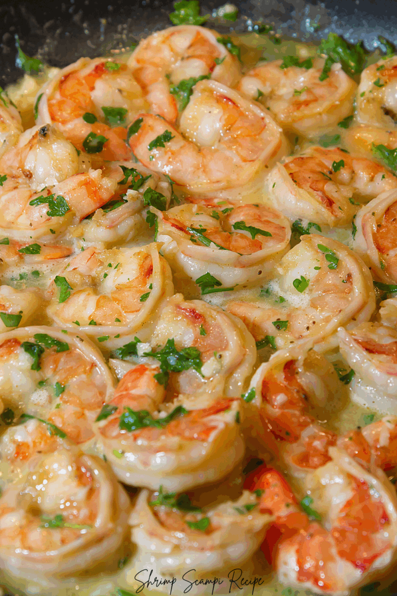 Shrimp Scampi Recipe
