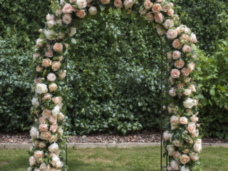 Rose Arrangement Ideas