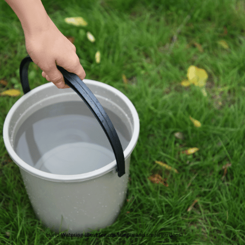 Hand Watering (Best for containers and small gardens)