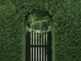 Garden Gate Ideas