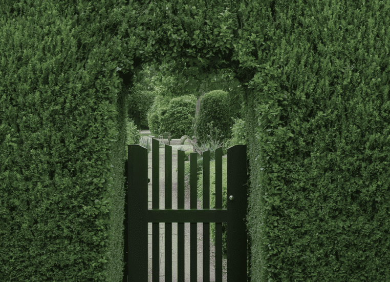 Garden Gate Ideas