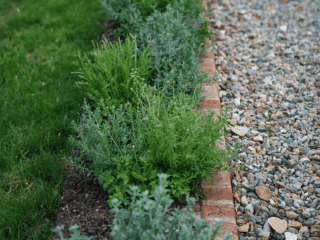 Herb Garden Ideas