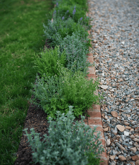 Herb Garden Ideas