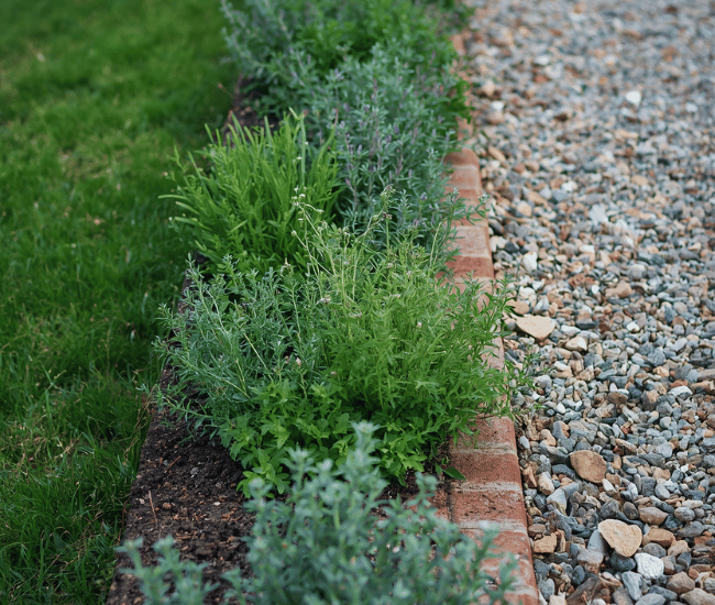 Herb Garden Ideas
