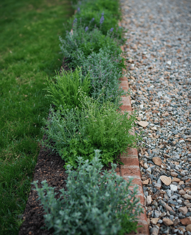 Herb Garden Ideas