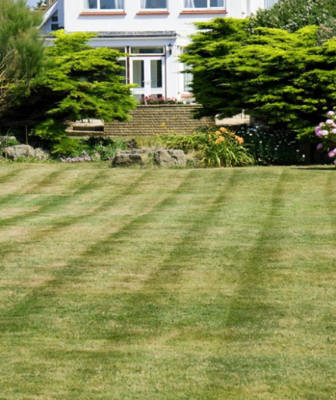Why Is My Grass Turning Brown