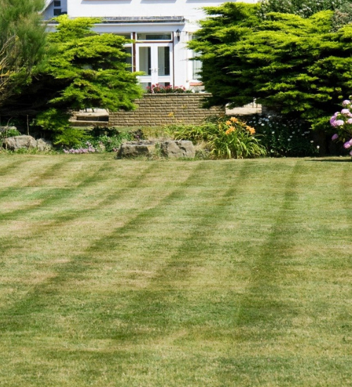 Why Is My Grass Turning Brown