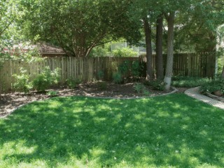 How to Landscape a Backyard on a Small Budget